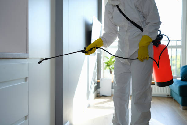 Best Mold Cleaning Services  in Ada, OH