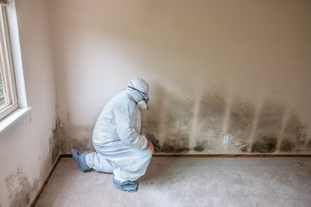 Water Damage Restoration in Ada, OH